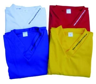 Trainingstrikot Spieler 2 Trainingstrikot Spieler – Bild 2